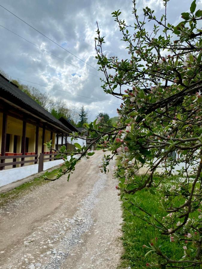 雷希察House In The Woods住宿加早餐旅馆 外观 照片