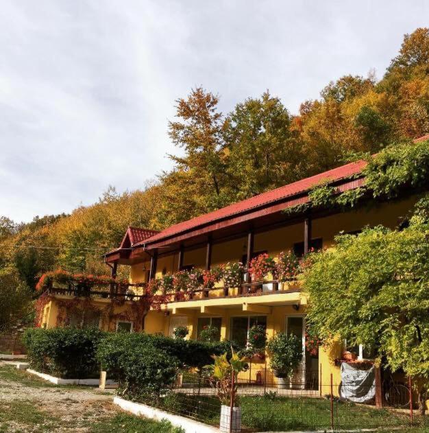 雷希察House In The Woods住宿加早餐旅馆 外观 照片