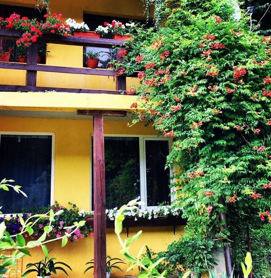 雷希察House In The Woods住宿加早餐旅馆 外观 照片