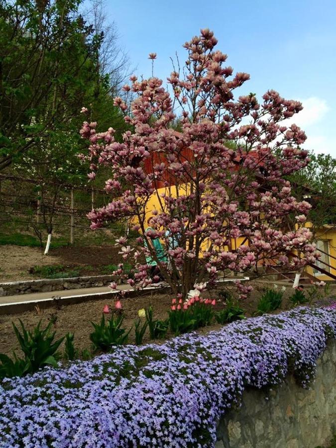 雷希察House In The Woods住宿加早餐旅馆 外观 照片