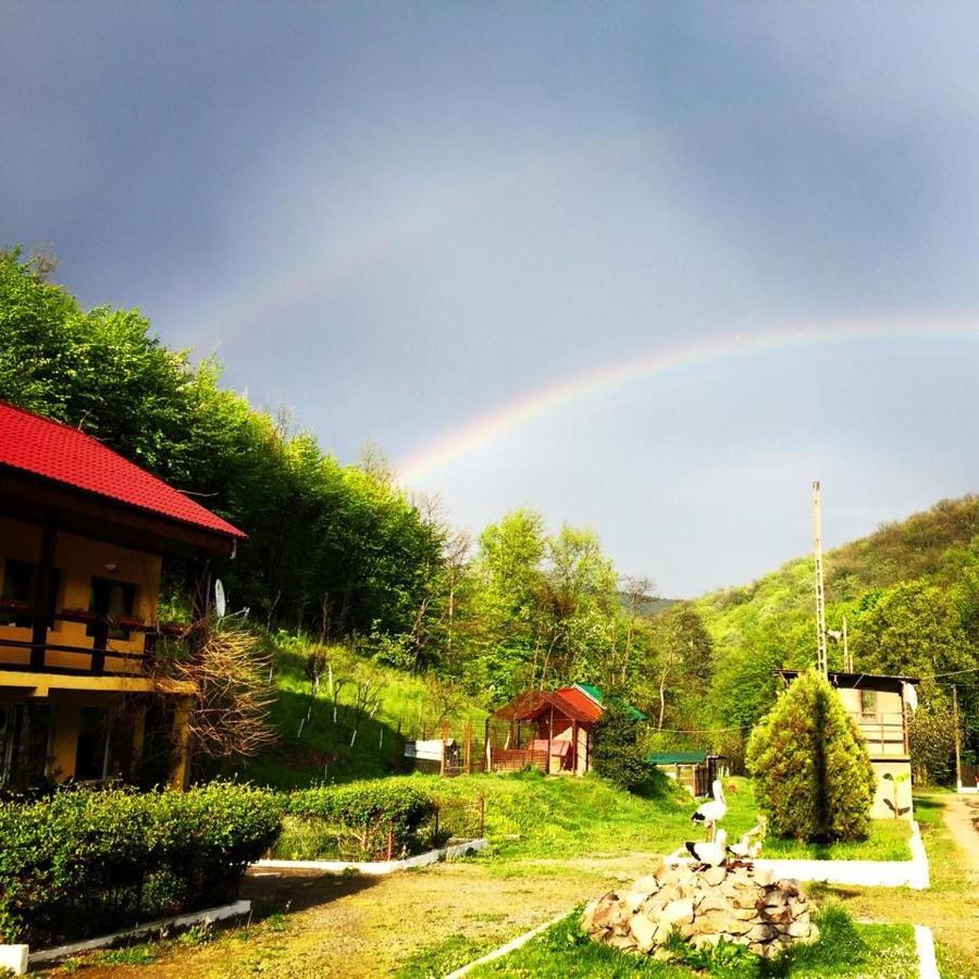 雷希察House In The Woods住宿加早餐旅馆 外观 照片