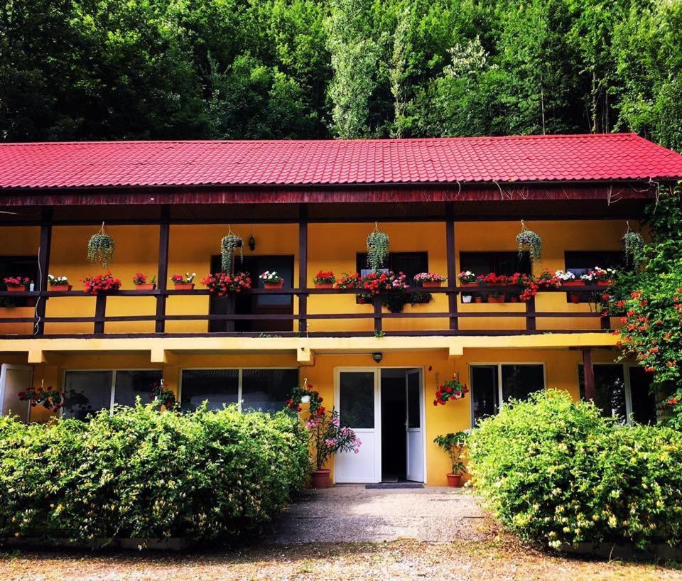 雷希察House In The Woods住宿加早餐旅馆 外观 照片